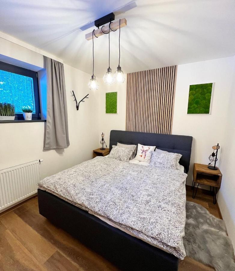 U Jelena Harrachov - Rodinny Apartman U Lesa S Garazi 外观 照片